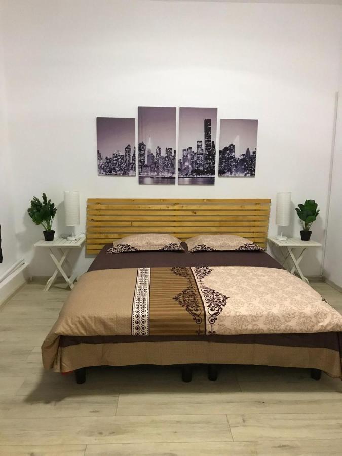 Large Apartment City Centre ブカレスト エクステリア 写真
