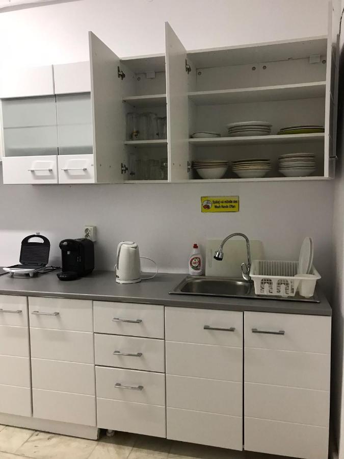 Large Apartment City Centre ブカレスト エクステリア 写真