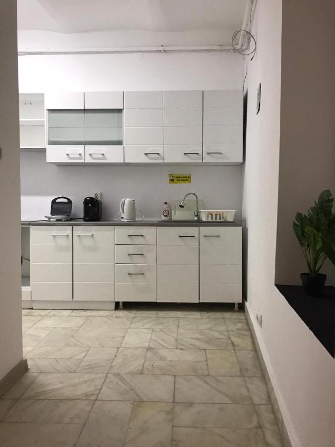 Large Apartment City Centre ブカレスト エクステリア 写真