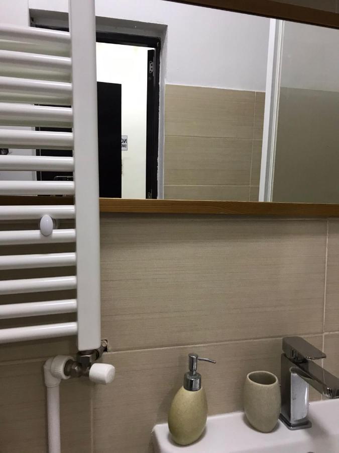 Large Apartment City Centre ブカレスト エクステリア 写真