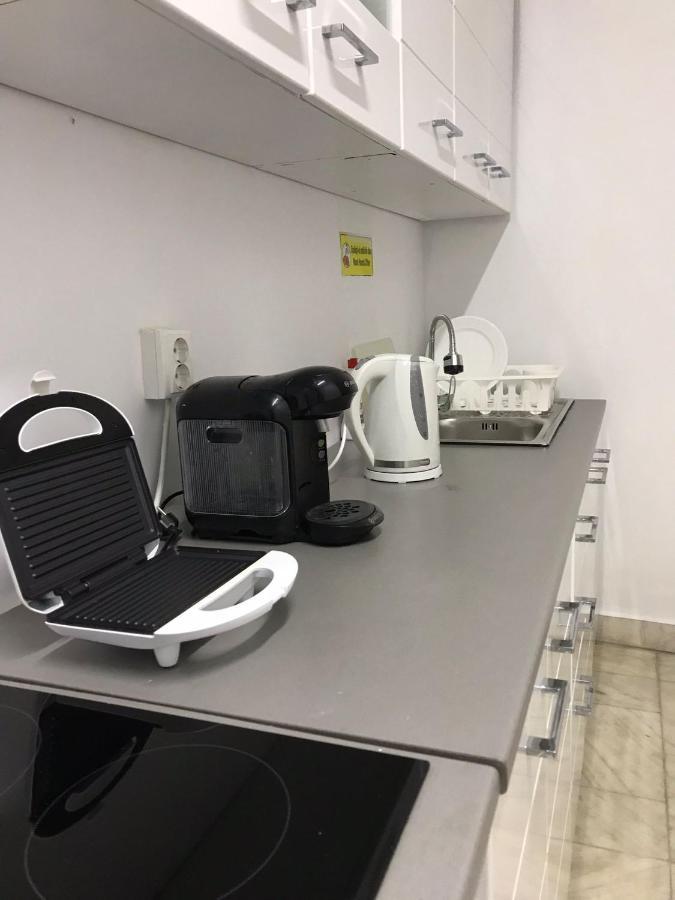 Large Apartment City Centre ブカレスト エクステリア 写真